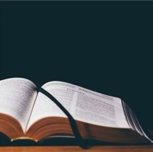 Meet your Posher, Kerline